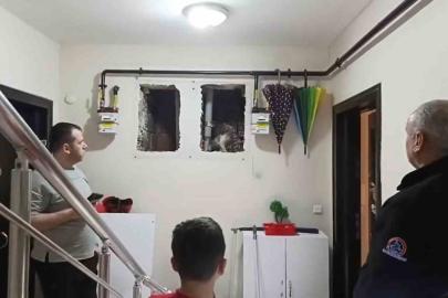 Küçük Yaser Kaan’ın dikkati kediyi kurtardı