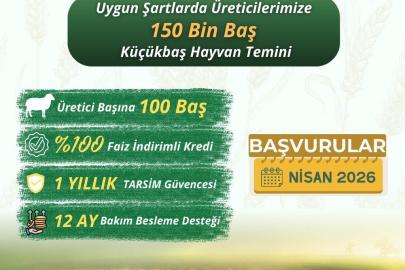 Küçükbaş üreticilerine "Kırsalda Bereket" projesi başlıyor