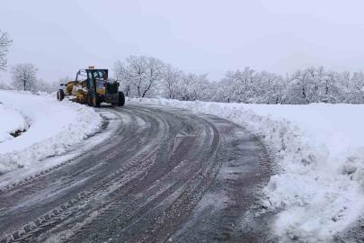 Kulp’ta kar nedeni ile kapanan yolları açılıyor