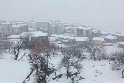 Kulp’ta kar yağışı etkili oldu, ilçe beyaza büründü