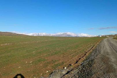 Kulp’ta yağışlar çiftçinin umudu arttı