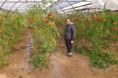 Kumluca’da hortum seraları parçaladı