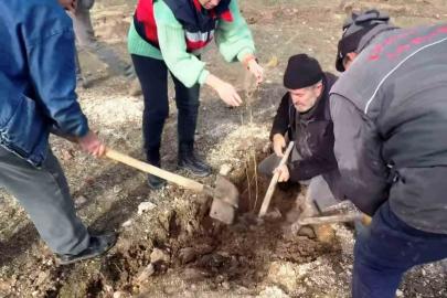 Kütahya’da ’Tuz Çalısı Projesi’ hayata geçirildi