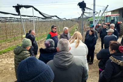 Lüleburgaz’da üreticilere uygulamalı budama eğitimi