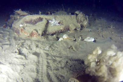 Marmara Denizi’ne 51 yıl önce düşen THY uçağına ait yeni izler bulundu