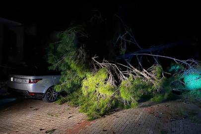 Marmaris’te fırtına ağaç devirdi: 1 kişi yaralandı