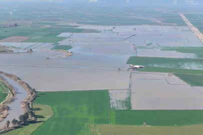 Menderes taştı, yüzlerce dönüm sular altında kaldı