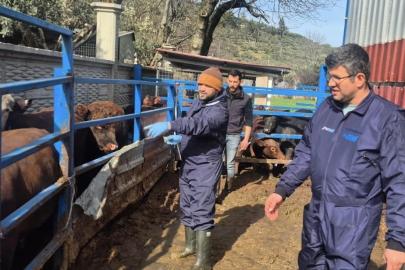 Menteşe’de ithal besilik hayvanların sağlık kontrolleri yapıldı