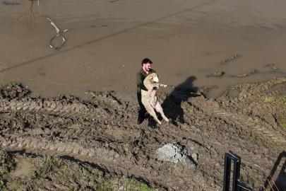 Meriç Nehri taştı; hayvanlar tahliye edildi, çiftçi malını kurtardı