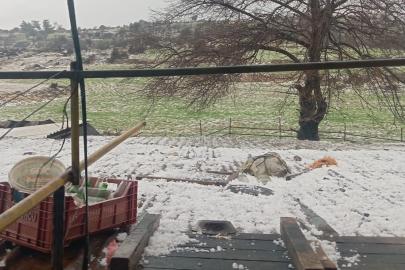 Mersin’de dolu: Ekili alanlar zarar gördü