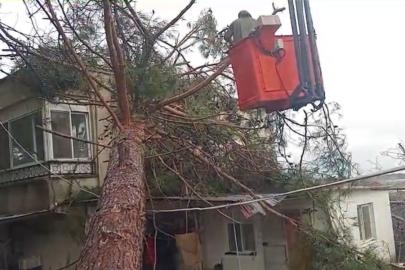Mersin’de fırtına etkili oluyor: Ağaç evin üzerine devrildi