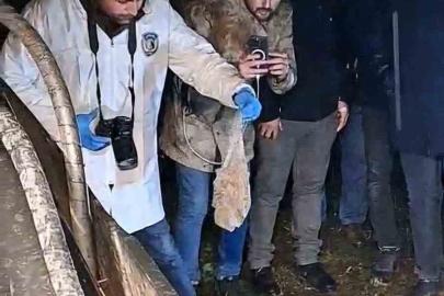 Mezarlığa gömülen esrarengiz paket mahalleliyi ayağa kaldırdı