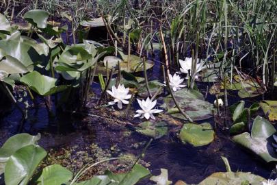 MSKÜ’lü bilim insanlarından kozmetik sektöründe uluslararası başarı