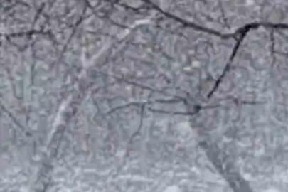 Mudurnu’da lapa lapa kar yağışı etkili oldu