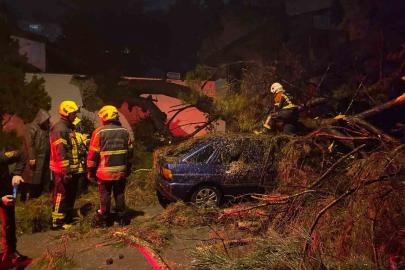 Önce duvarı yıktı sonra otomobilin üzerine devrildi: 2 yaralı