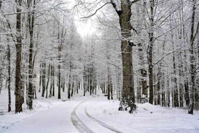 Ordu’nun 15 ilçesinde eğitime kar engeli