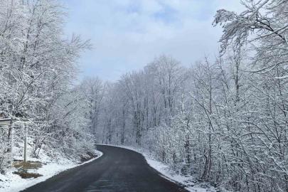 Ordu’nun yüksek kesimlerinde kar manzarası