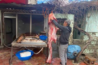 Osmaniye’de 2 metrelik dev yayın balığı vatandaşın ilgi odağı oldu