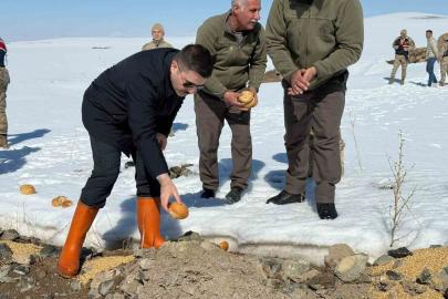 Özalp ilçesinde doğaya yem bırakıldı