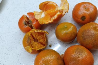 Pazardan aldığı 2 kilo mandalinanın yarısı çürük çıktı