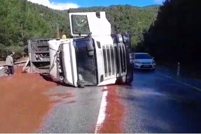 Peyzaj malzemesi yüklü tır devrildi