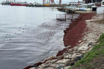 Poyraz sahili kırmızıya boyadı