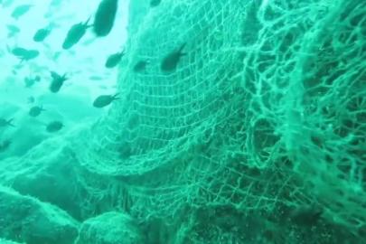 Prof. Dr. Coşkun Erüz: "Karadeniz’in doğal ekosistemini ve biyoçeşitliliğini korumak için hayalet ağları temizlemek gerekli"