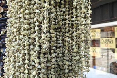 Ramazan’ın gözdesi bamya tezgahlarda