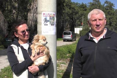 Rus sahipleri, kaybolan köpeklerini sokak sokak arıyor: Canlı bulana 100 bin, ölü bulana 10 bin ödül