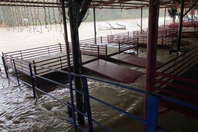 Sağanak sebebiyle Köprüçay taştı, iş yerleri ve araziler sular altında kaldı