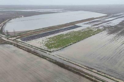 Sağanak yağmurdan sonra binlerce dönüm tarım arazisi sular altında kaldı