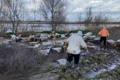 Salihli’de 103 kovan arı sele kapıldı