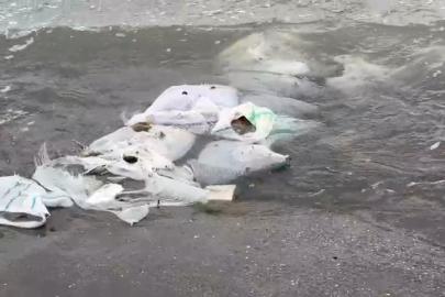 Samsun’da denizde çuvallar içinde inşaat malzemesi bulundu