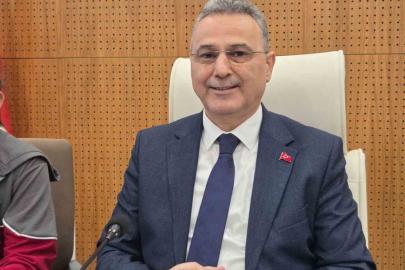 Samsun’da konteynerde bulunan 9 köpekle ilgili rapor açıklandı: "Doğal ölüm"