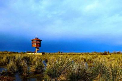 Samsun’da tabiat parklarını 186 bin 271 kişi gezdi