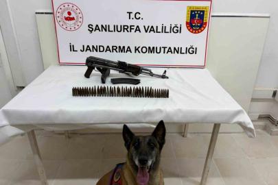 Şanlıurfa’da uzun namlulu silah ele geçirildi: 1 gözaltı