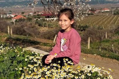 Sarıgöl’de bademler çiçek açtı papatyalar tarlaları süsledi