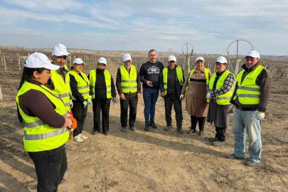 Sarıgöllü ziraat mühendisi Azerbaycan’da bağ budama tekniklerini öğretti