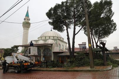 Şehzadeler Belediyesi’nin budadığı dallar ihtiyaç sahiplerinin ocağını ısıtıyor