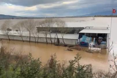 Sel sularının ortasındaki depoda mahsur kalan köpekler yürek burktu