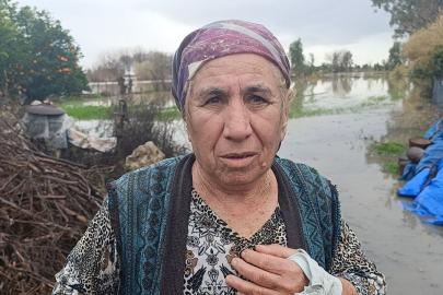 Selde mahsur kalan köpeği AKOM ekipleri kurtardı