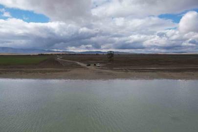 Seyfe Gölü’nde flamingo cümbüşü havadan görüntülendi