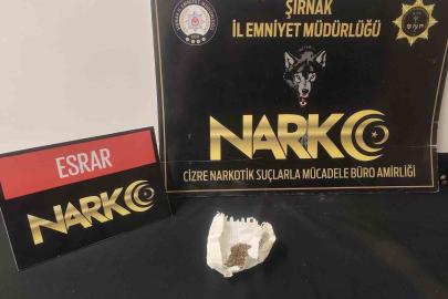 Şırnak’ta 17,8 milyonluk kaçak ürün ele geçirildi: 10 tutuklama