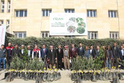 Şırnak’ta 25 bin 200 fidan toprakla buluştu: 810 dekar meyve bahçesi oluyor