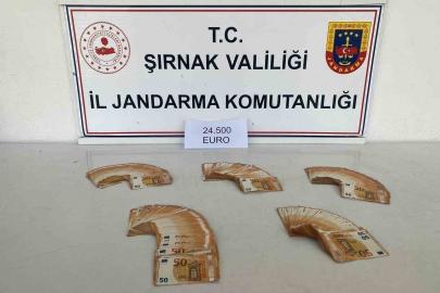 Şırnak’ta jandarmadan kaçakçılığa büyük darbe
