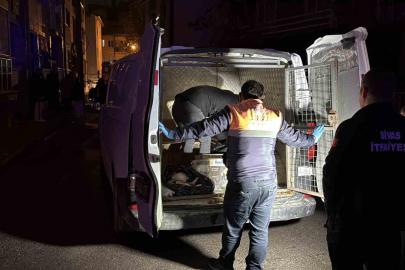 Sivas’ta 2 katlı evde çıkan yangında 26 kedi telef oldu