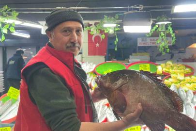 Sivas’ta 7.5 kiloluk orfoz balığı tezgahın ağası oldu