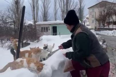 Sokak hayvanlarını beslemek için her yıl bin 400 kilometre yol geliyor