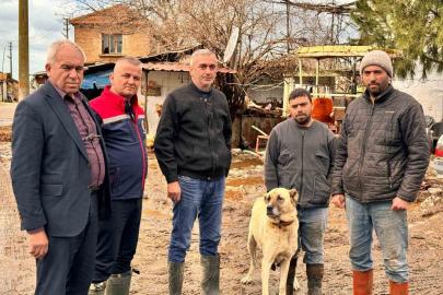 Söke Ovası’nda yağış sonrası zarar tespit çalışmaları