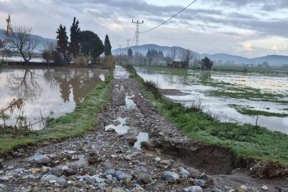 Söke’de aşırı yağışlar sonrası tarım alanlarında hasar tespiti